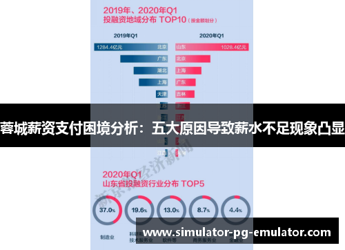 蓉城薪资支付困境分析：五大原因导致薪水不足现象凸显