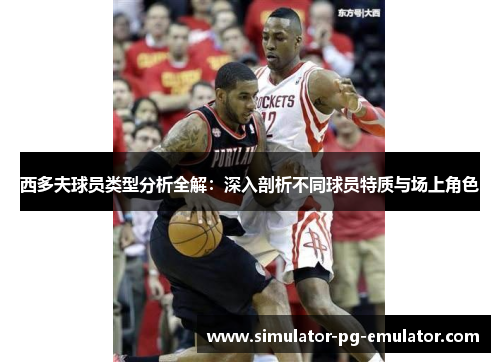 西多夫球员类型分析全解:深入剖析不同球员特质与场上角色 西多夫球员类型分析全解:深入剖析不同球员特质与场上角色