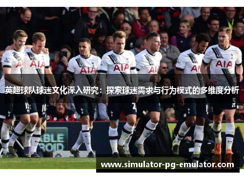 英超球队球迷文化深入研究：探索球迷需求与行为模式的多维度分析