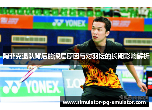 陶菲克退队背后的深层原因与对羽坛的长期影响解析