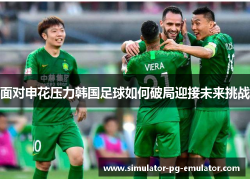 面对申花压力韩国足球如何破局迎接未来挑战