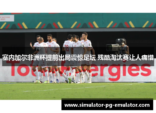塞内加尔非洲杯提前出局震惊足坛 残酷淘汰赛让人痛惜